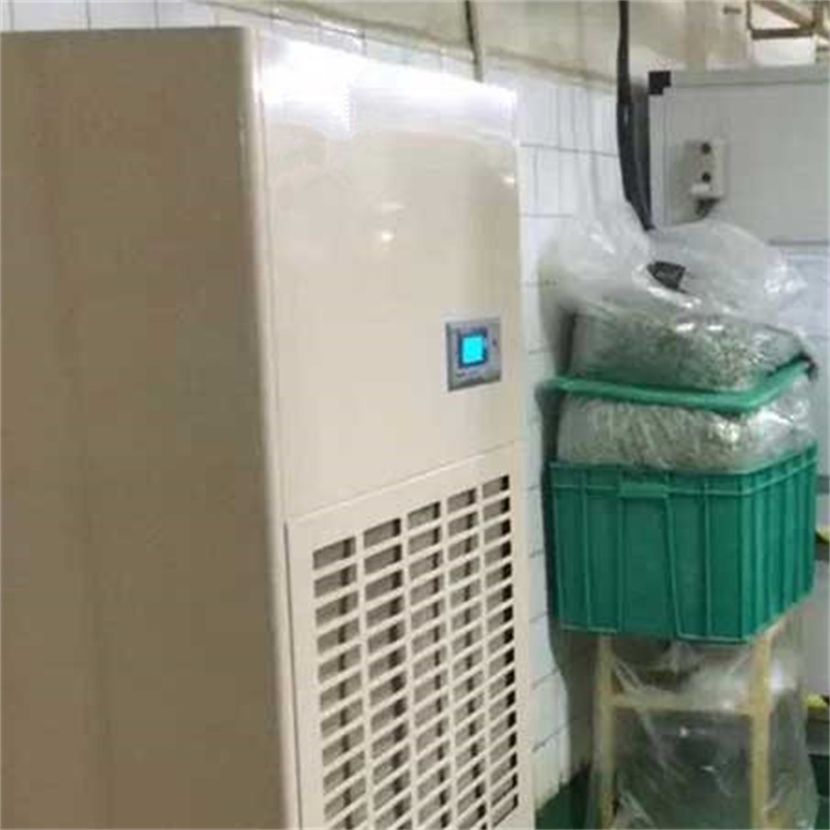 HF52N 20匹精密车间专用风冷恒温恒湿空调机组升温除湿